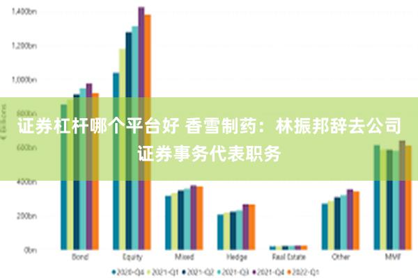 证券杠杆哪个平台好 香雪制药:林振邦辞去公司证券事务代表职务
