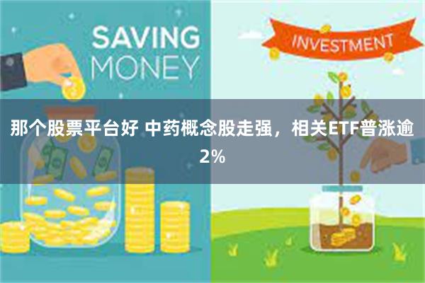 那个股票平台好 中药概念股走强,相关ETF普涨逾2%