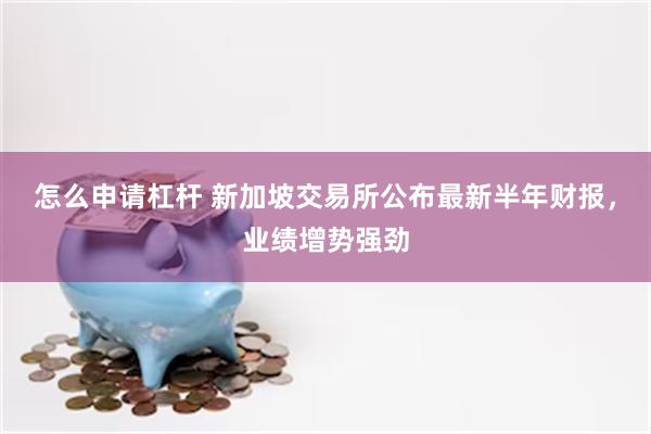 怎么申请杠杆 新加坡交易所公布最新半年财报,业绩增势强劲