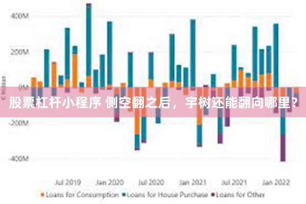 股票杠杆小程序 侧空翻之后,宇树还能翻向哪里?