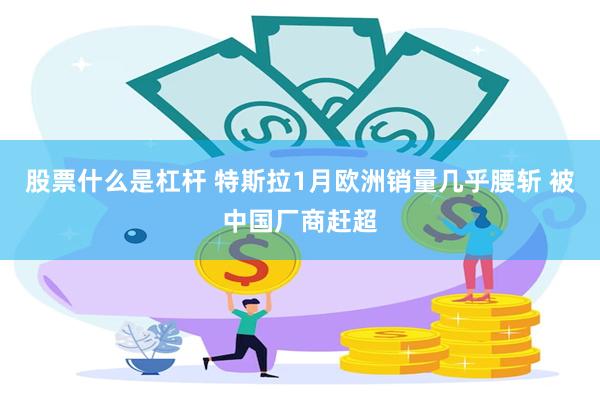 股票什么是杠杆 特斯拉1月欧洲销量几乎腰斩 被中国厂商赶超
