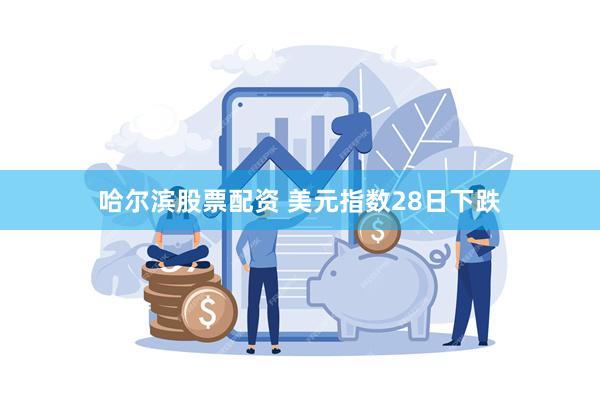 哈尔滨股票配资 美元指数28日下跌