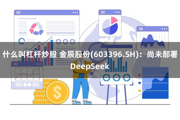 什么叫杠杆炒股 金辰股份(603396.SH)：尚未部署DeepSeek