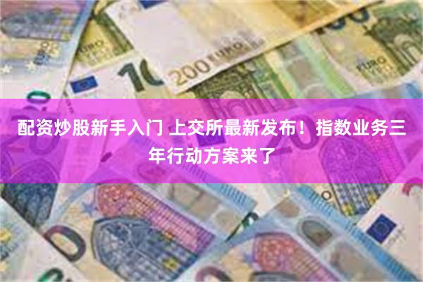 配资炒股新手入门 上交所最新发布!指数业务三年行动方案来了