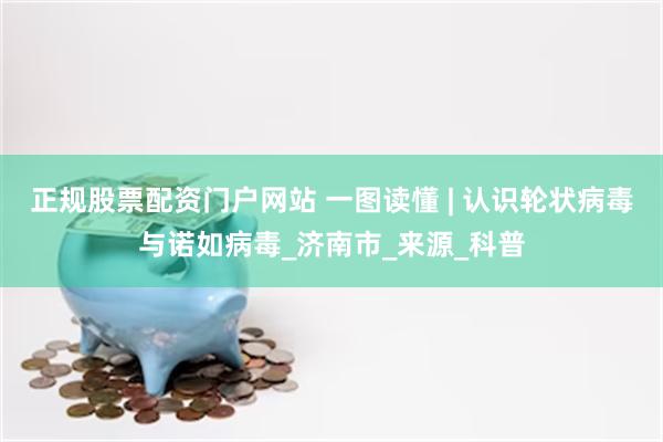 正规股票配资门户网站 一图读懂 | 认识轮状病毒与诺如病毒_济南市_来源_科普