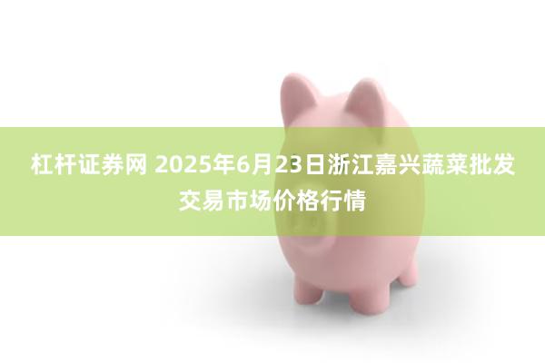 杠杆证券网 2025年6月23日浙江嘉兴蔬菜批发交易市场价格行情