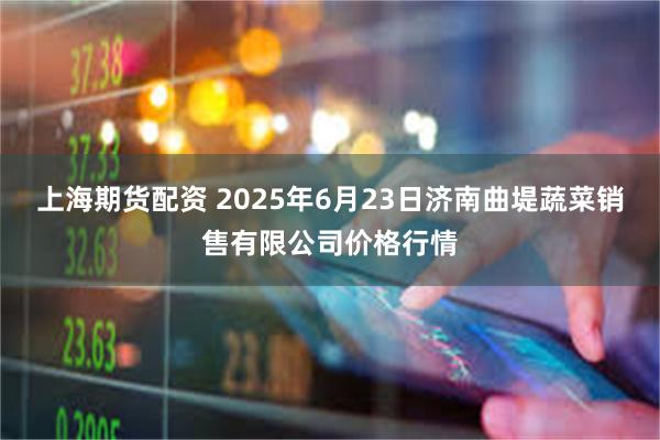 上海期货配资 2025年6月23日济南曲堤蔬菜销售有限公司价格行情