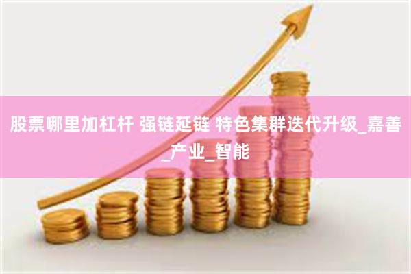 股票哪里加杠杆 强链延链 特色集群迭代升级_嘉善_产业_智能