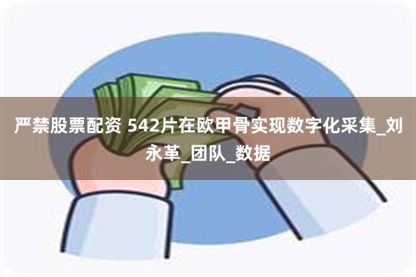 严禁股票配资 542片在欧甲骨实现数字化采集_刘永革_团队_数据