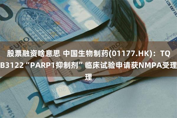股票融资啥意思 中国生物制药(01177.HK)：TQB3122“PARP1抑制剂”临床试验申请获NMPA受理