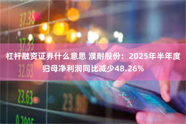 杠杆融资证券什么意思 濮耐股份：2025年半年度归母净利润同比减少48.26%