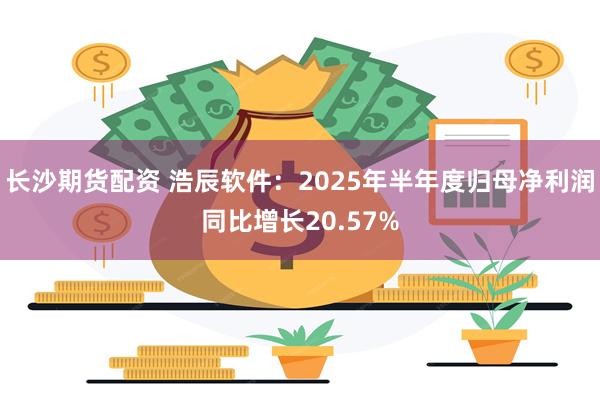 长沙期货配资 浩辰软件：2025年半年度归母净利润同比增长20.57%